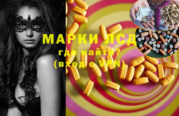 эйфоретик Инсар