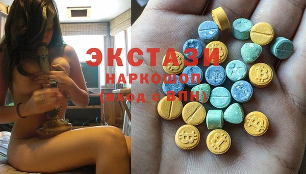ECSTASY Каменка