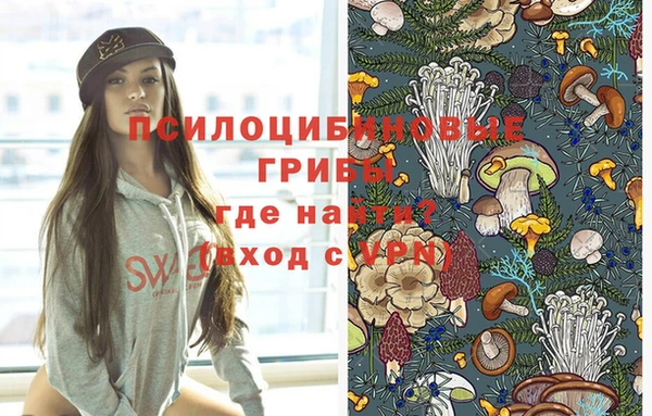 эйфоретик Инсар