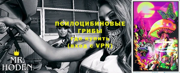 ECSTASY Каменка