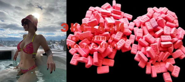 ECSTASY Каменка